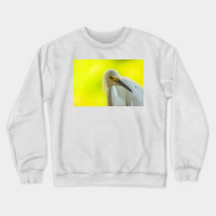 Handsome snowy egret Crewneck Sweatshirt